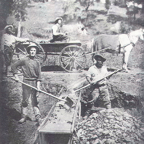 grant_miners