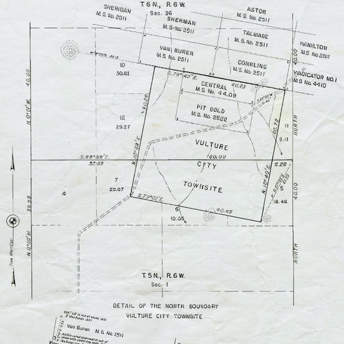 Vulture_map_st