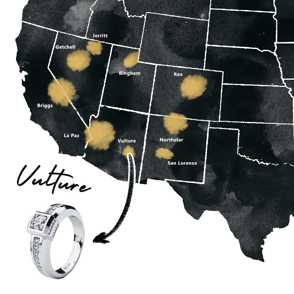 Vulture_map_white_1000px